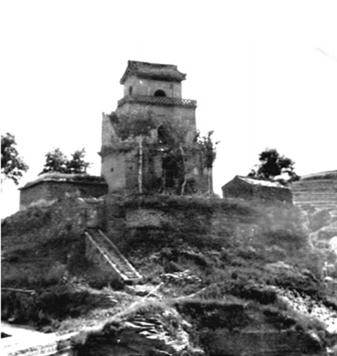图片1